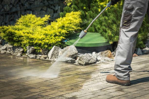 Reliable West Elmira, NY Pressure Washing Solutions