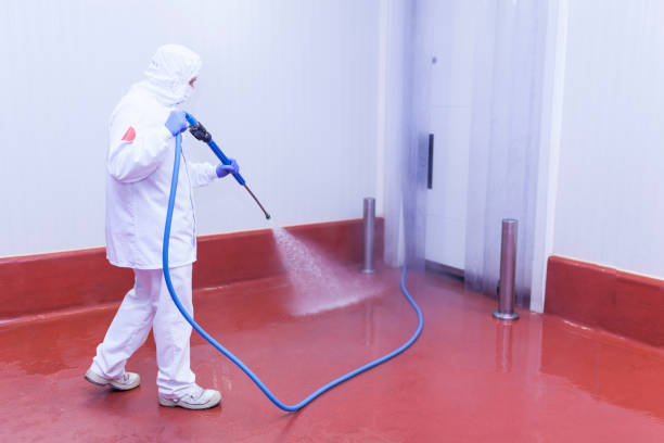 Best Restaurant Pressure Washing  in West Elmira, NY